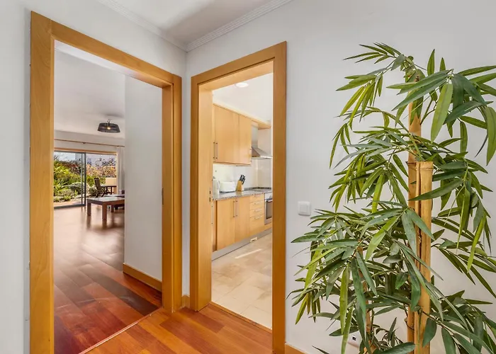 Corcovada * אלבופיירה